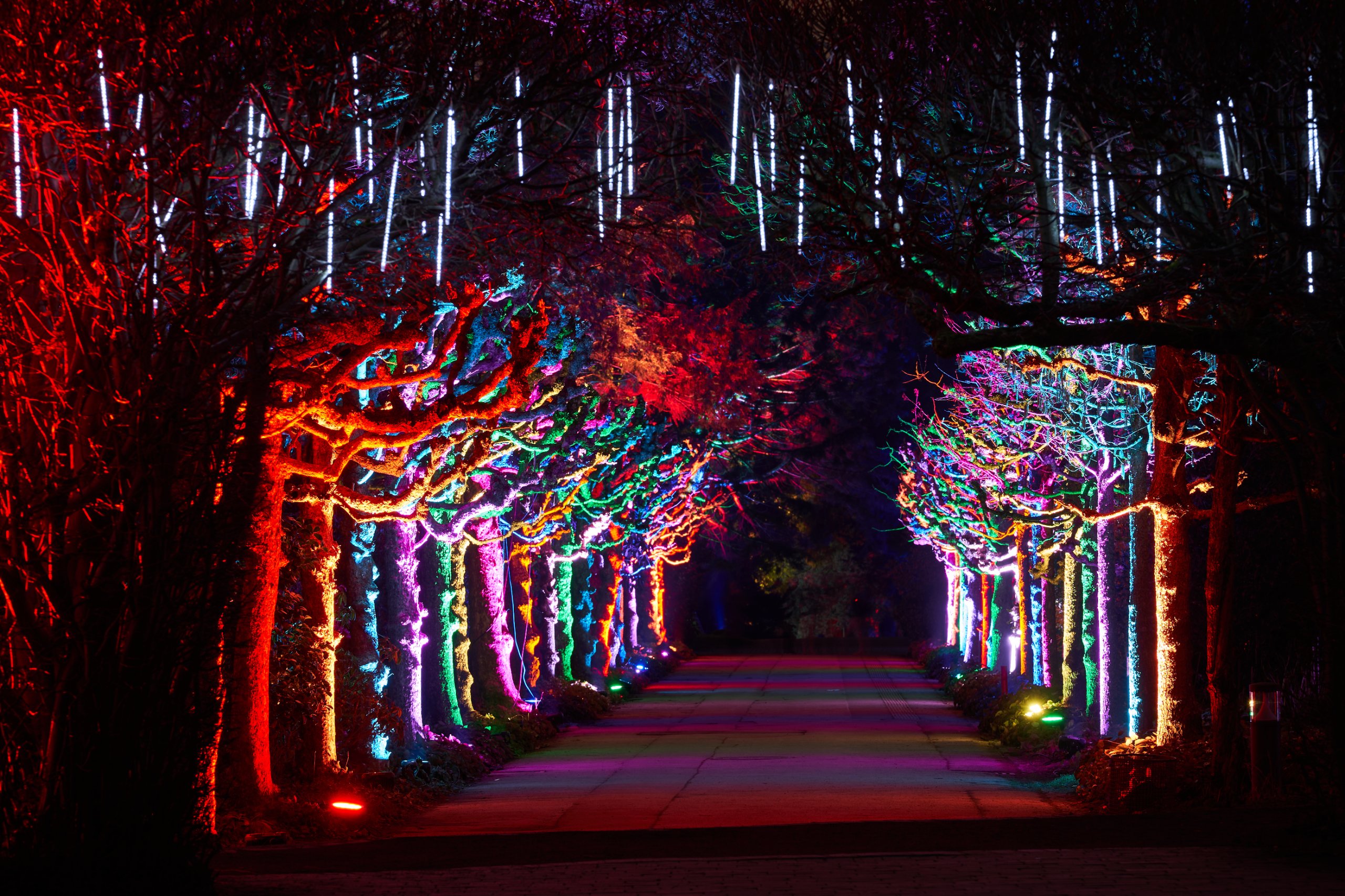 2023 01 24 Parkleuchten 0516